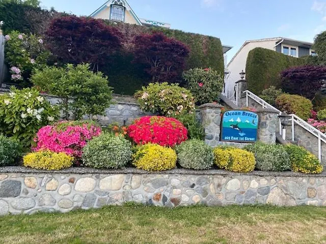 Ocean Breeze Executive Bed And Breakfast-1